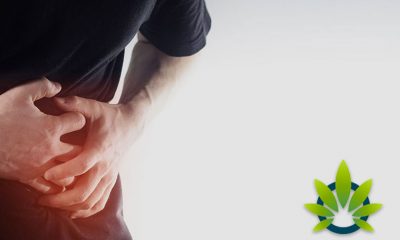 CBD for Stomach Bloat: How Cannabidiol May Help Gut Health and Soothe Tummy Swelling