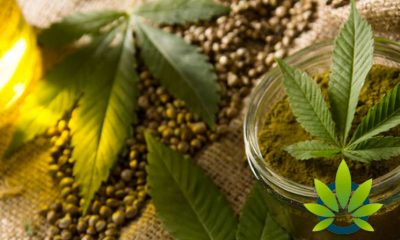 CBD Oil Sales and Manufacturing Along with Hemp Cultivation Have Been Legalized in Ohio