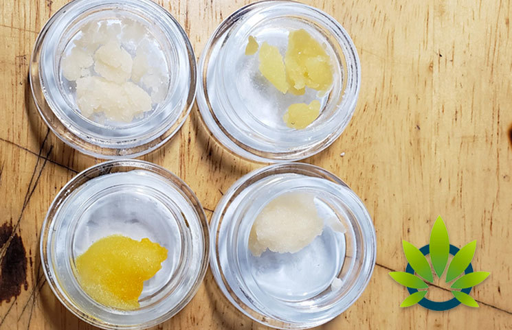 CBD Terpsolate: What's This New Cannabidiol Terpene Isolate All About?