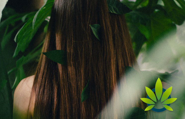 CBD for Scalp Health