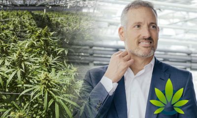 CannTrust Chairman and CEO Reportedly Informed of Unlicensed Cannabis Growing in November