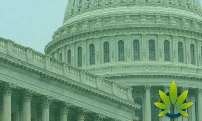 Cannabis Industry’s 2019 Capitol Hill Lobbying Efforts on Pace to Surpass $3 Million This Year