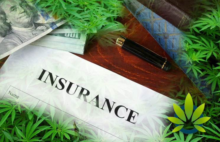Cannabis Insurance FAQ: Top Questions to Ask a Prospective Insurance Broker