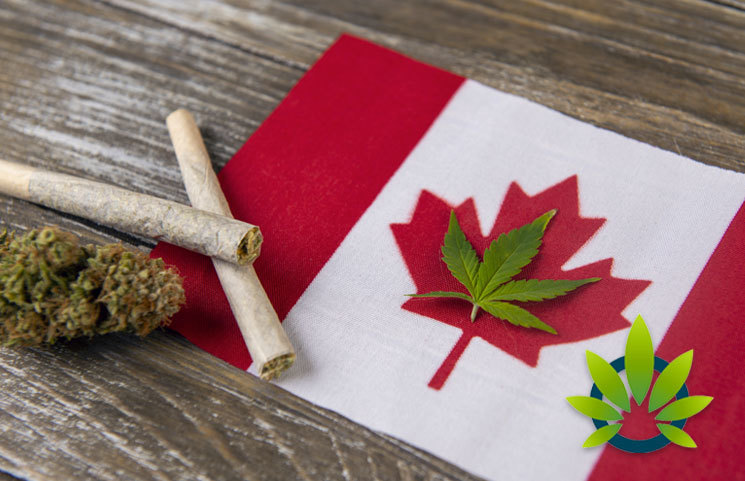 Health Canada's Cannabis Research Process Has Only Approved Nearly 1 in 10 Applications So Far