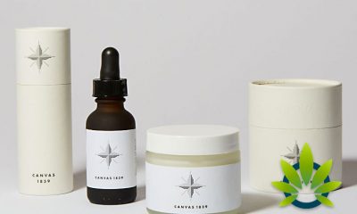 Canvas 1839 Hemp Relief Solutions: CBD Oil and Pain Relief Skin Cream