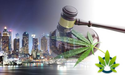 Citywide Business Ban on CBD in Foods and Drinks in New York City Takes Effect