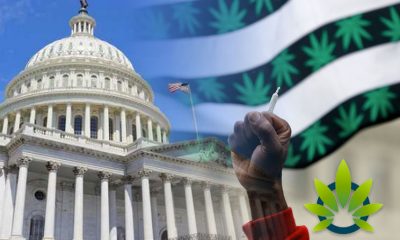 Congress is Hosting Historic Cannabis Legislation Hearing on Ending Federal Marijuana Prohibition
