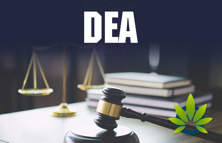 DEA Still Working on Marijuana Growing Applications as Senators Request Status Updates