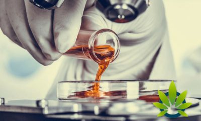 Different CBD Extraction Processes Means Different CBD Products of Varying Potency and Quality