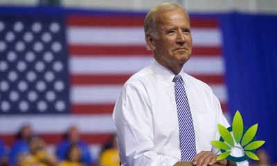 Examining Democratic Presidential Candidate Joe Biden on Marijuana Legalization