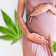 Expecting Moms Who Use Cannabis and CBD During Pregnancy and Breastfeeding: What to Know