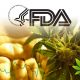 FDA Expedites CBD Regulations, Leading to Major Boost in Cannabis Stocks