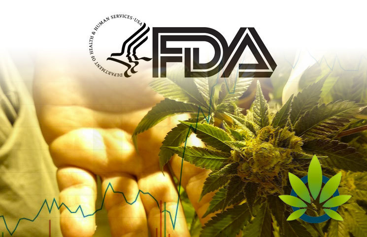 FDA Expedites CBD Regulations, Leading to Major Boost in Cannabis Stocks