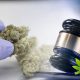 Florida Requests a New Hearing Involving a Big Medical Cannabis Licensing Case