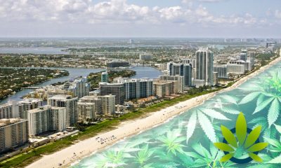 Florida Looks to Regulate CBD as Sunshine State Looks to Pass Cannabidiol Laws by September