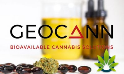 Geocann’s New Patent-Protected CBD Formulas with Its VESIsorb Delivery System