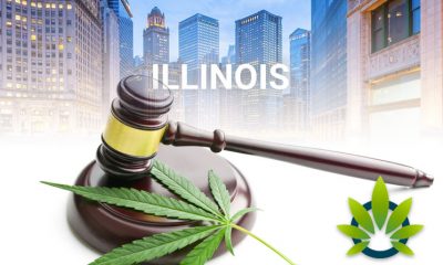 Analyzing the Illinois Baseline THC Tax Structure on Recreational Cannabis
