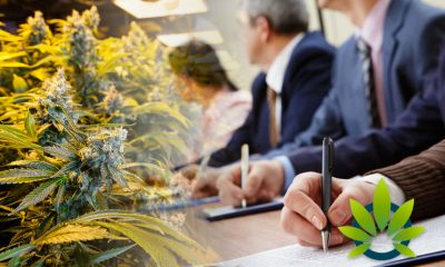 New Access + Innovation Project Group Formed by Industry Leaders to Help Set Cannabis Regulations