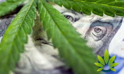 Is It Doom and Gloom Time for Canadian Cannabis Market? Will the Bubble Burst for Pot Stocks?