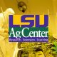 LSU AgCenter Medical Marijuana Program Results Upcoming for New CBD and THC Product Release