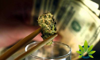 New Nielsen Report: Legal Cannabis Sales Will Soon Be Worth Billions of Dollars