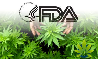 Legalization Confusion, Barrier to Entry in the US CBD Market Rises Amidst FDA’s Lack of Regulatory Pathway