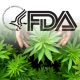 Legalization Confusion, Barrier to Entry in the US CBD Market Rises Amidst FDA’s Lack of Regulatory Pathway