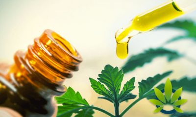 Louisiana Issues CBD Business Permits to Allow Legal Sale of Hemp-Derived Cannabidiol Products