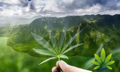 MLB All-Star and World Series Champion's Legacy Ventures Hawaii to Open New Hemp Extraction Business