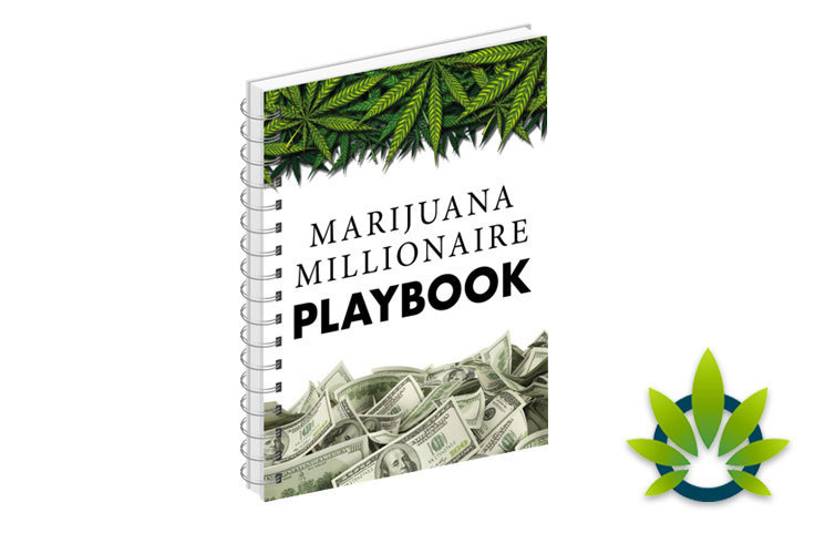 Marijuana Millionaire Playbook: Learn How to Invest in Cannabis Stocks