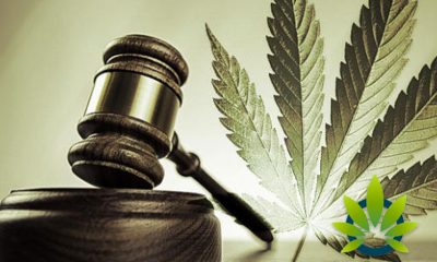 Michigan Senator's New Bill Seeks to Automatically Expunge All Cannabis Possession Convictions