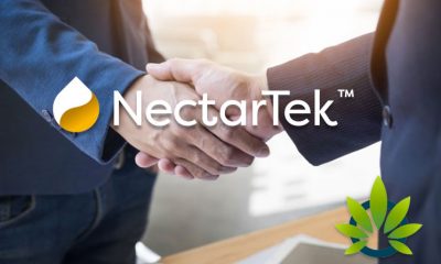 NectarTek Hemp Extraction Company Announces Food Industry Partnerships