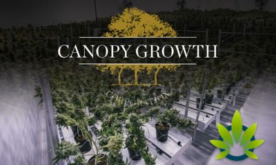 New Canopy Growth Industrial Park Established in New York for Hemp Processing