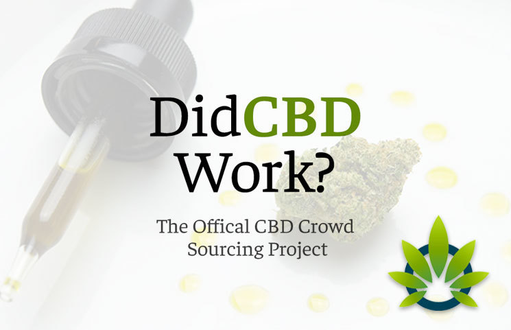 New Project DidCBDWork.com Helps Cannabidiol Users Track Whether or Not CBD Worked for Them