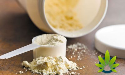 Persistence Market Research: Hemp Proteins, a Big Emerging Trend in the Cannabis Industry