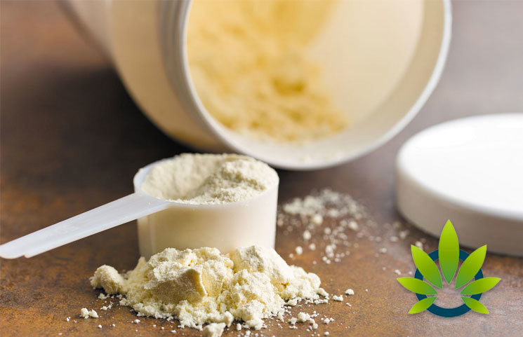 Persistence Market Research: Hemp Proteins, a Big Emerging Trend in the Cannabis Industry