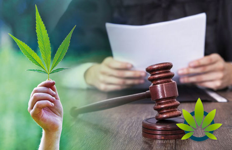 Prosecutors in Texas Express Difficult Time Differentiating Between Industrial Hemp Flower and Cannabis