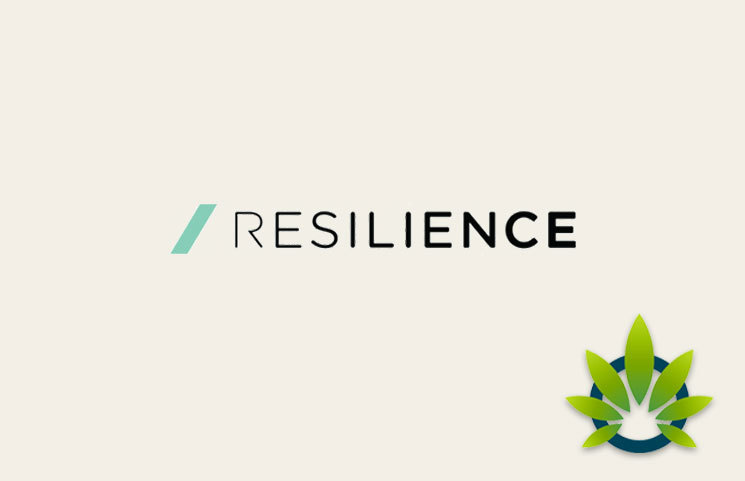 Resilience CBD