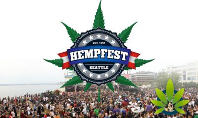 Seattle Hempfest Burdened by Denial of Access to Road via Expedia and the Port of Seattle