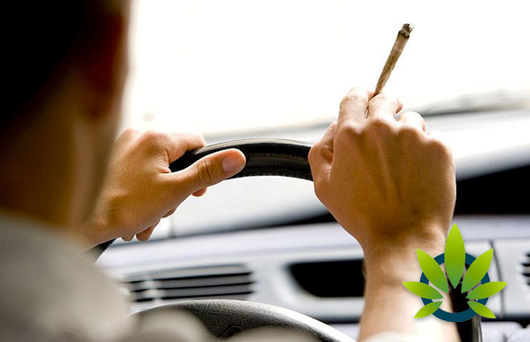 Smoking Marijuana and Driving While High