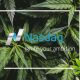 Sundial Growers Nasdaq IPO: Here's What to Know About the $130 Million Plan