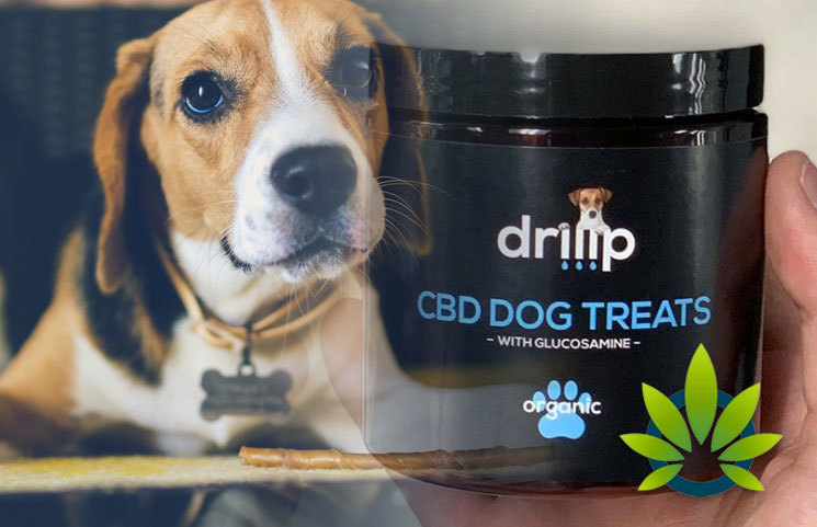 Teen Duo Launches New driiip CBD Treat Product Line for Dogs with Organic Ingredients