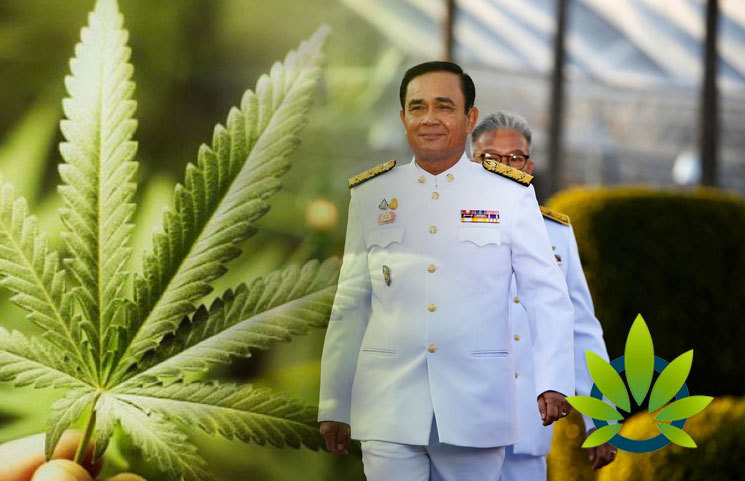New Government of Thailand is Set to Make Cannabis Policies One of Its Top Priorities