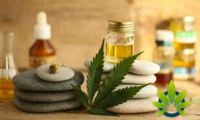 Top US Retailers are Making Space for the Wave of CBD Beauty Products Penetrating the Market