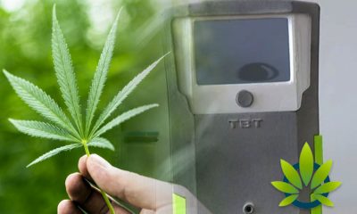 Triple Beam Technology Marijuana Breathalyzer Cannibuster Almost Ready for Field Testing