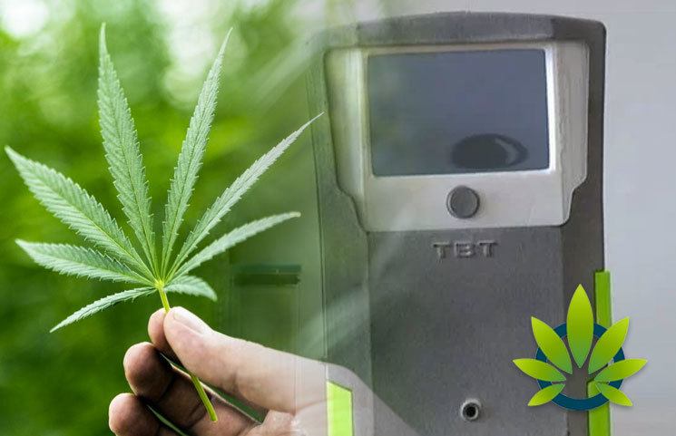 Triple Beam Technology Marijuana Breathalyzer Cannibuster Almost Ready for Field Testing