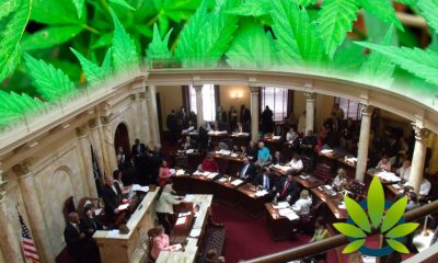 US Senate by New Jersey Senator to Offer Business Insurance Plans to State-Legal Cannabis Companies