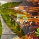 West Coast Venture Group (WCVC) Launches CBD Restaurant, Illegal Burger, and Sees Success