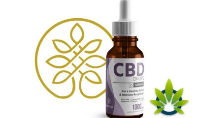 Hempure Becomes First-Ever CBD Company to Be Included into Built Consumer Product Accelerator