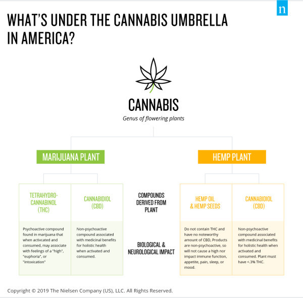 https://www.nielsen.com/wp-content/uploads/sites/3/2019/07/TCR-cannabis-graphic-2.jpg?w=600
